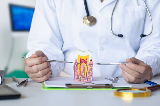 Best Emergency Orthodontic Repairs in Starbuck, MN